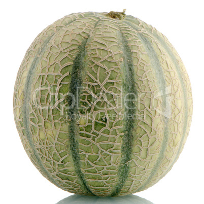 Cantaloupe melon