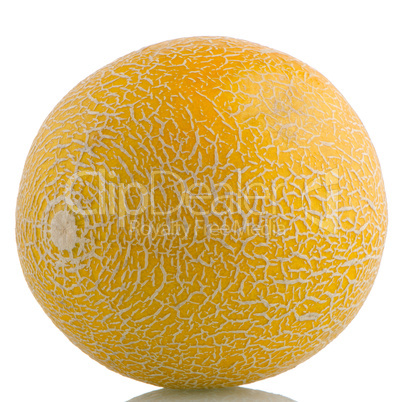 Yellow melon