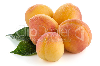 Sweet peaches with leafs