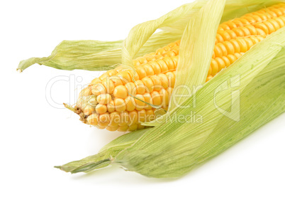 corn on the cob