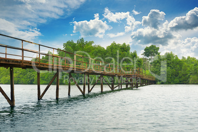 Wooden bridge over the lake