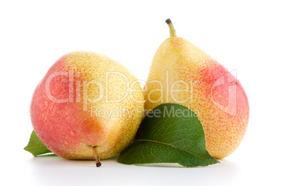 Two ripe pears