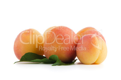 Sweet peaches with leafs