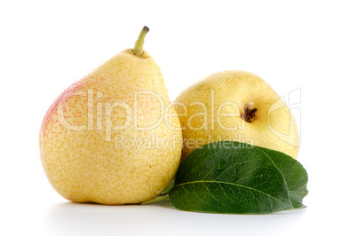 Two ripe pears