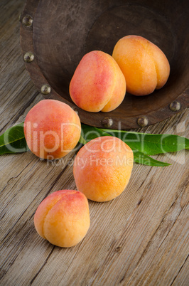 Apricots with leaves