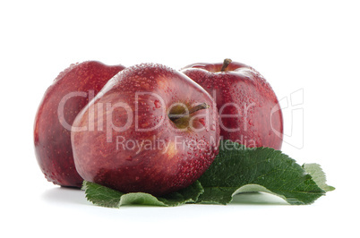 Ripe red apples