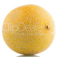 Yellow melon