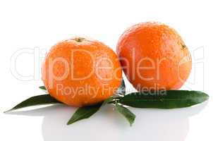 Ripe tangerines or mandarin