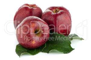 Ripe red apples