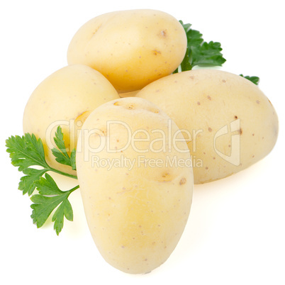 New potatoes and green parsley