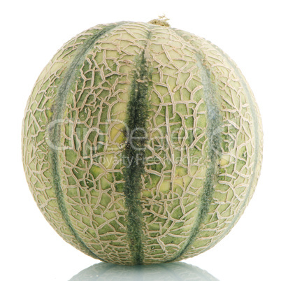 Cantaloupe melon