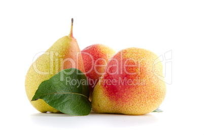 Three ripe pears