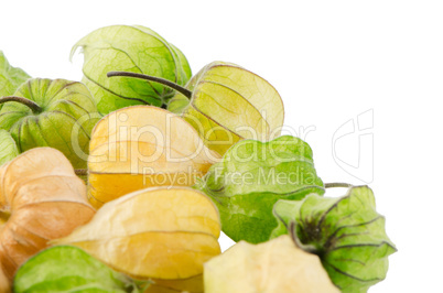 Physalis fruit