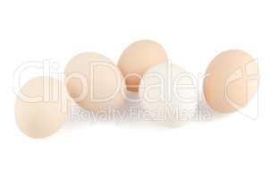 Five eggs on white