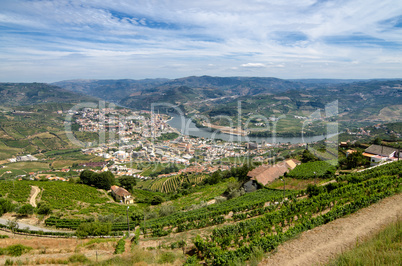 Regua, vineyars in Douro Valley