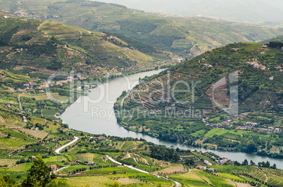 vineyars in Douro Valley