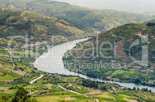 vineyars in Douro Valley