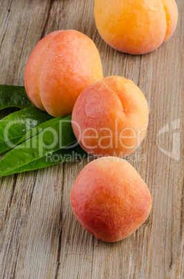 Apricots with leaves