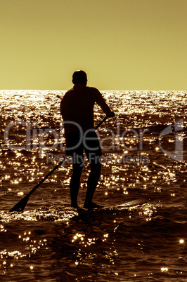 Silhouette paddle board surfer