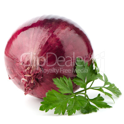 Red onion tuber and fresh parsley