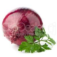 Red onion tuber and fresh parsley