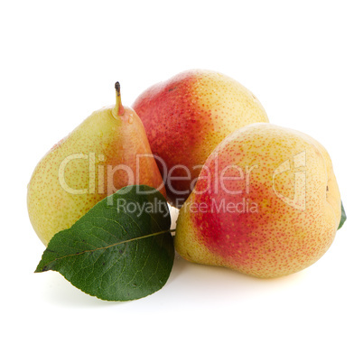 Three ripe pears