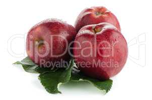 Ripe red apples