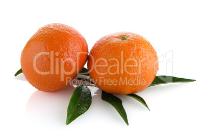 Ripe tangerines or mandarin