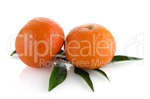 Ripe tangerines or mandarin