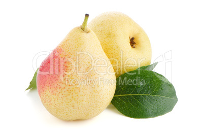 Two ripe pears