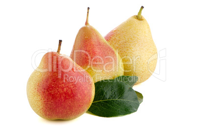 Three ripe pears