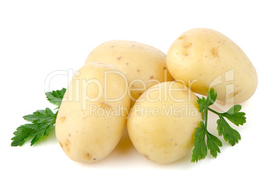 New potatoes and green parsley