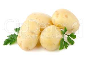 New potatoes and green parsley