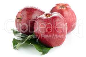 Ripe red apples