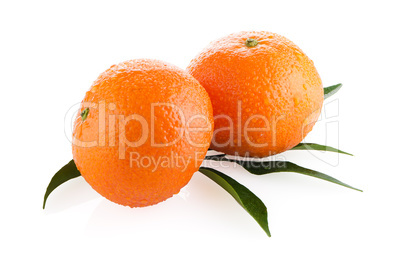 Ripe tangerines or mandarin