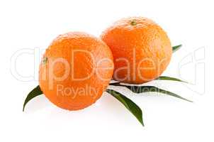 Ripe tangerines or mandarin