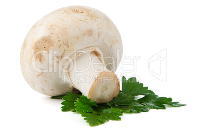 Champignon mushroom and parsley leaves