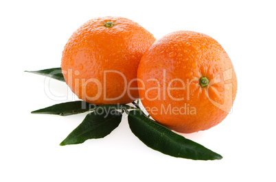 Ripe tangerines or mandarin