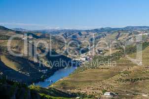 vineyars in Douro Valley