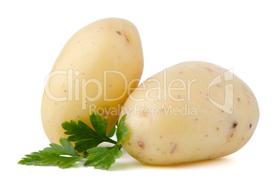 New potatoes and green parsley