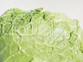 Green cabbage vegetables