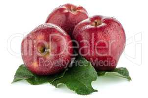 Ripe red apples