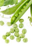 Fresh green pea pod