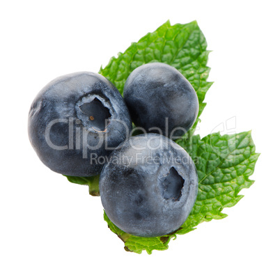 Ripe blueberry