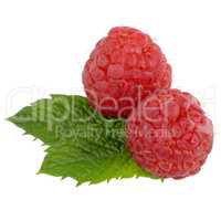 Ripe red raspberry