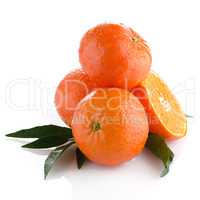 Tangerines