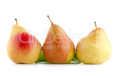 Three ripe pears
