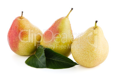 Three ripe pears