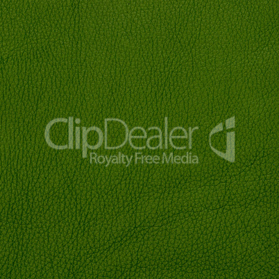 Green leather texture closeup