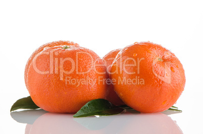 Ripe tangerines or mandarin